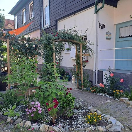 Sonniges Apartment Алтенбрак Екстериор снимка