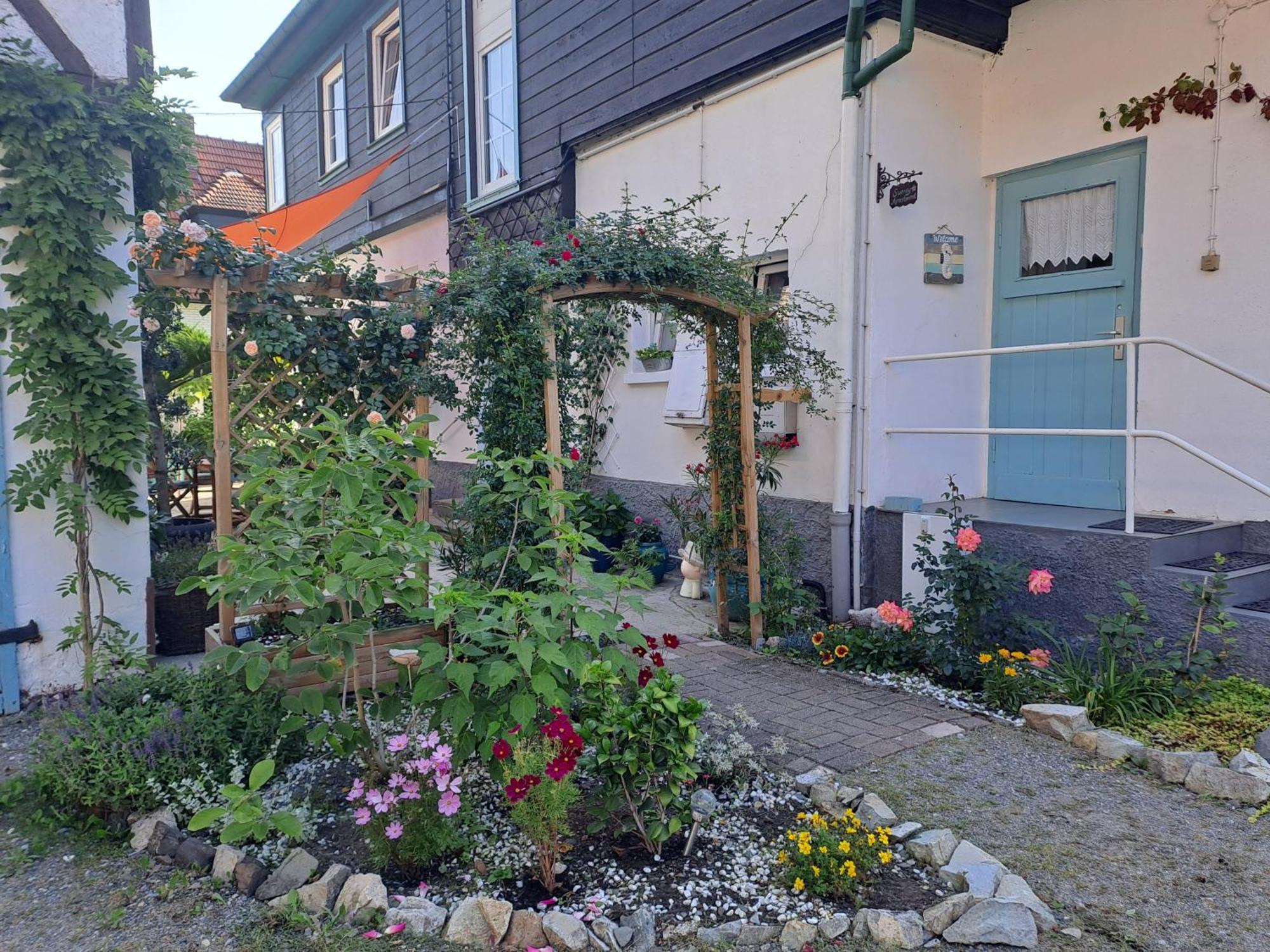 Sonniges Apartment Алтенбрак Екстериор снимка